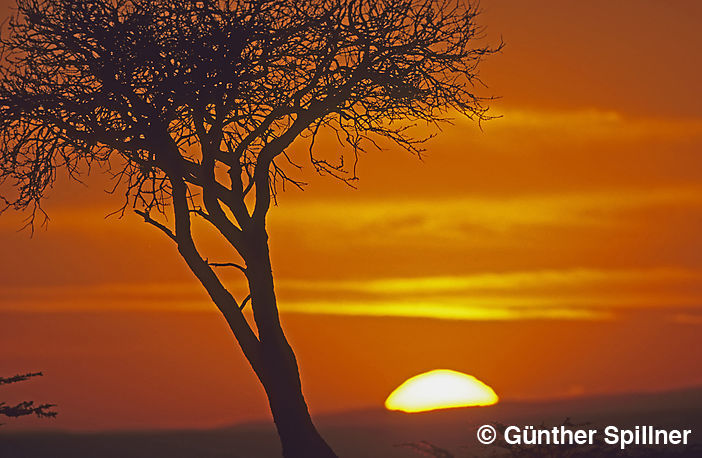 Sonnenaufgang in Kenia