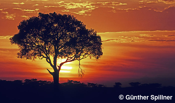 Sonnenaufgang in Kenia