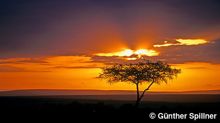 Sonnenaufgang in Kenia