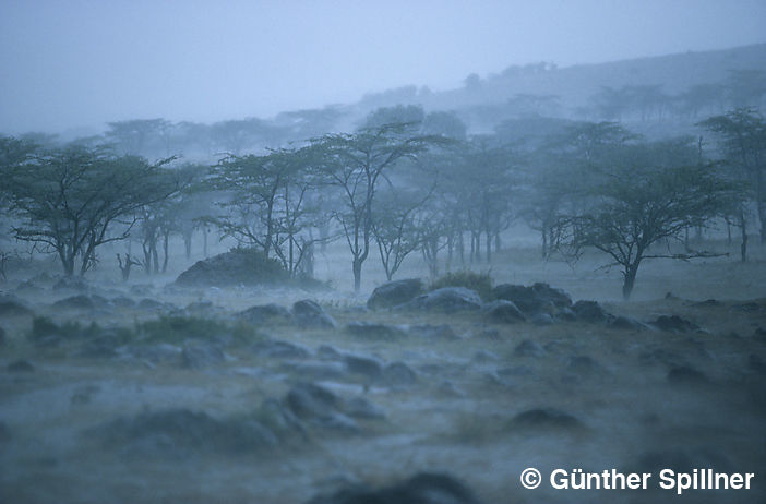 Monsun in Kenia