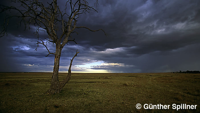 Monsun in Kenia