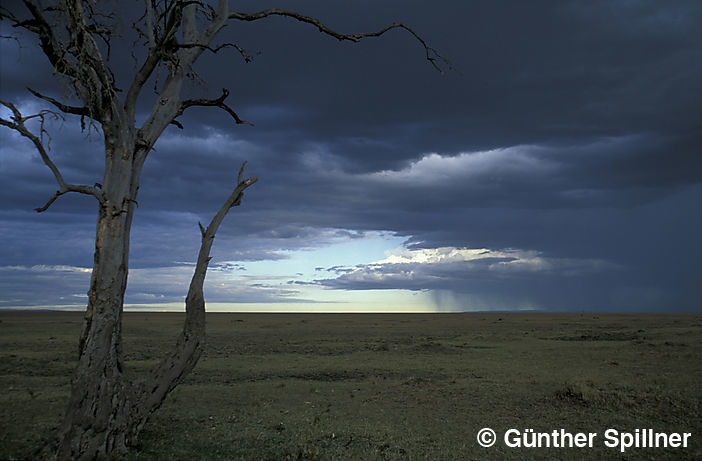 Monsun in Kenia