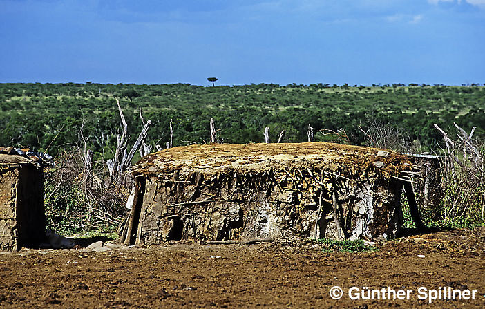 Maasai house