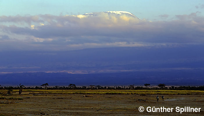 Kilimandscharo Kenia